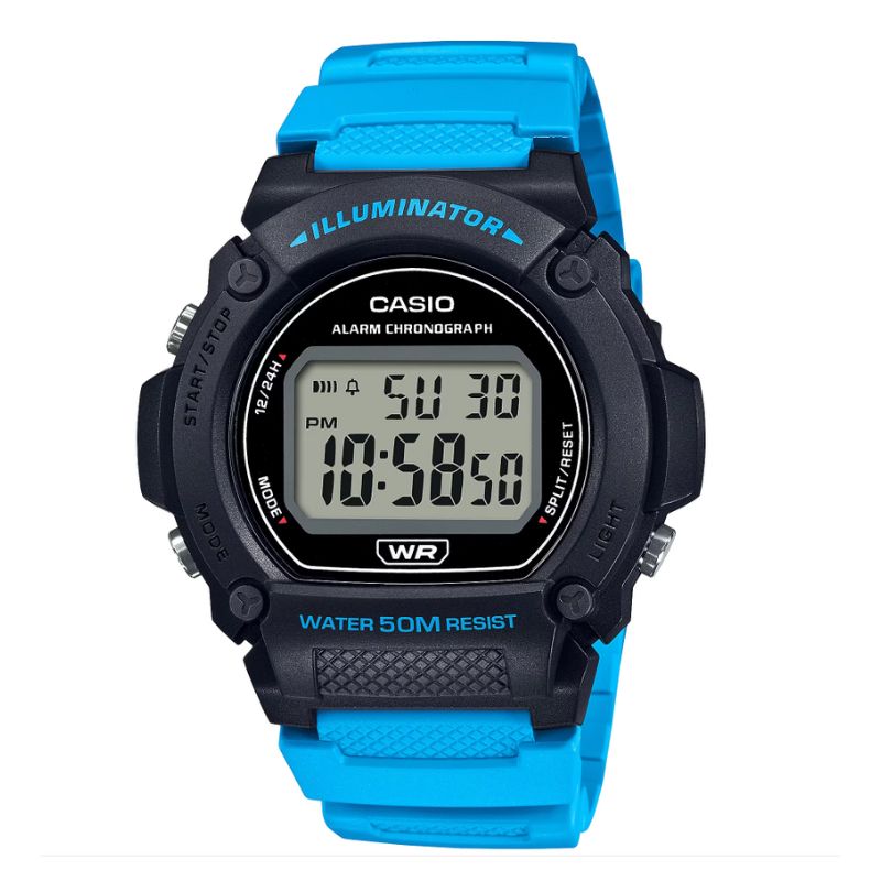 RELOGIO CASIO STANDAR W-219H-2A2VDF