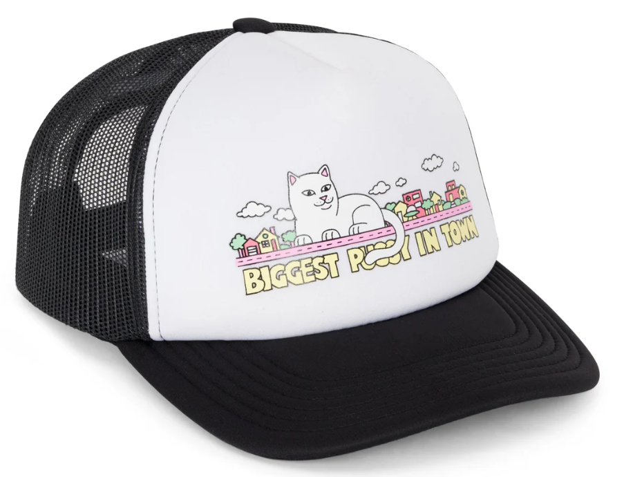 BONE RIPNDIP MY NEIGHBOR TRUCKER R72232404