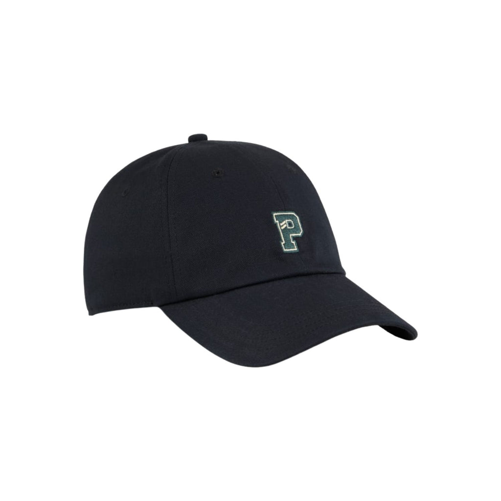 BONE PUMA DAD HAT GRAPHIC NAVY 026155 01